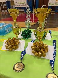 Image result for Wyvern Dragons Junior Badminton Club
