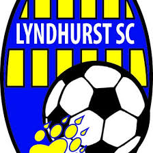 Image result for Lyndhurst Football Club