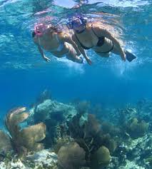 Image result for Wyndley NSC Snorkelling Club