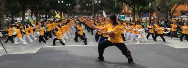 Image result for Wushu Tai Chi Club