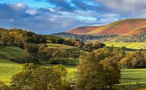 Image result for Ribble Valley Crc
