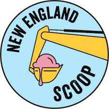 Image result for Ipswich Open Ultimate