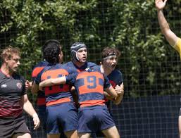 Image result for St Mary's Old Boys Rugby Union Football Club
