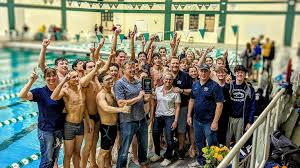 Image result for Sharks Swimming Club Of Mottingham
