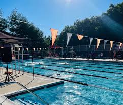 Image result for Yeovil and District Swimming Club