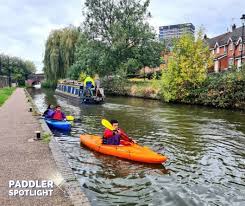 Image result for Paddletastic