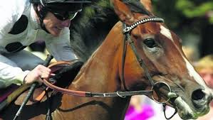 Image result for Elite Racing Club