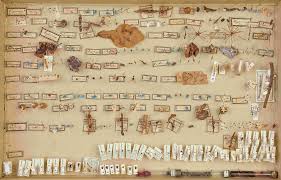 Attēlu rezultāti vaicājumam “Sacchiphantes abietis exuvia”