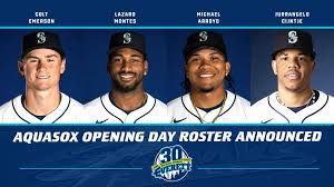 Image result for PLYMOUTH MARINERS BASEBALL CLUB