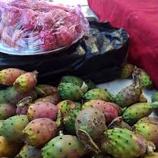 Attēlu rezultāti vaicājumam “Carex arenaria  fruit”