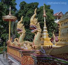 Kuvahaun tulos haulle nagas