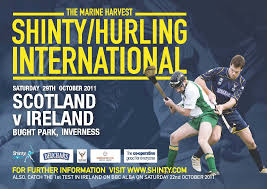 Image result for World of Shinty