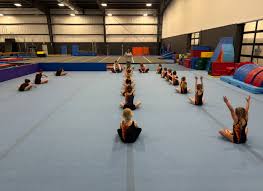 Image result for Arabian School Of Gymnastics
