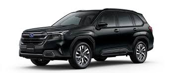 「ソフィア・フォレスター」の画像検索結果