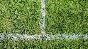 Image result for Hampstead Heath Hockey