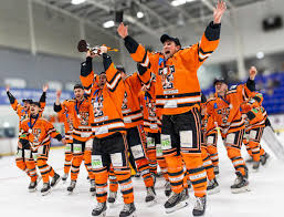 Image result for Telford Tigers