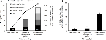 Attēlu rezultāti vaicājumam “Melampsora magnusiana”