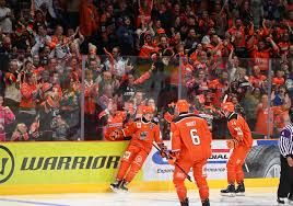 Image result for Sheffield Steelers