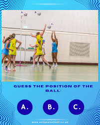 Image result for Fm Eclipse Netball Club