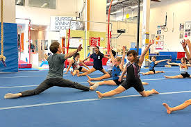 Image result for North Devon Display Gymnastics Club