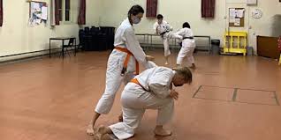 Image result for University of Bristol Shorinji Kempo Club