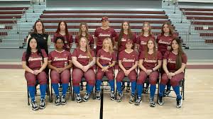Image result for Dragons Softball Club