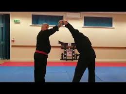 Image result for Budo Shin Ryu Kempo Jujitsu Academy