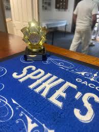 Image result for Alne Cricket Club