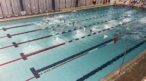 Image result for Stokesley Amateur Swimming club