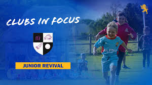 Image result for Mid-Devon Cc