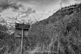 Image result for Burntisland Bullets