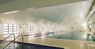 Image result for Kingsbridge Kingfishers Swimming Club