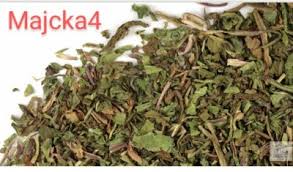 Attēlu rezultāti vaicājumam “Taraxacum officinale aggr. leaf”