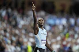 Image result for Tobogo