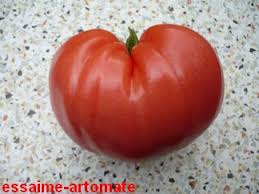 Afbeeldingsresultaat voor erdie family oxheart tomato