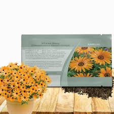 Image result for Dimorphotheca sinuata