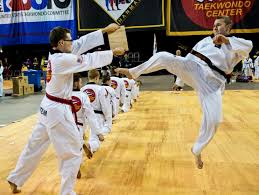 Image result for Taekwondo Athletes Program USA