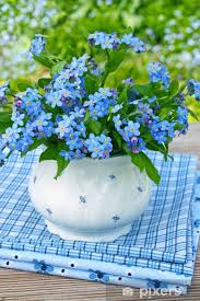 Image result for Vergissmeinnicht