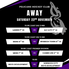 Image result for Pelicans Hockey Club