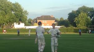 Image result for Ashdon Cricket Club