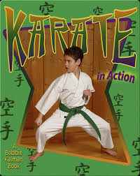 Image result for Action Karate