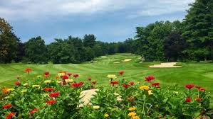 Image result for Hills Plymouth Cricket Club