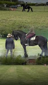 Image result for Chobham and District Riding Club