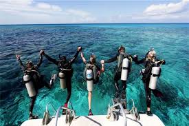 Image result for Scuba Fun