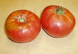 Afbeeldingsresultaat voor brandywine sudduth tomato