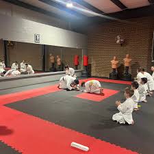Image result for COURT FIELDS karate Academy