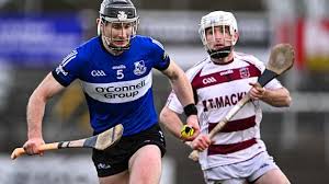 Image result for Sarsfields Hurling Club