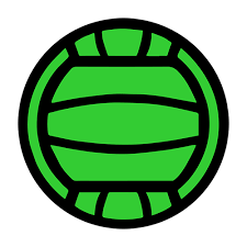 Image result for Dominos Netball Club