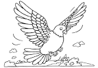 Pigeon coloring page