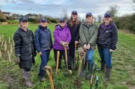 Image result for Purnell Cricket Club